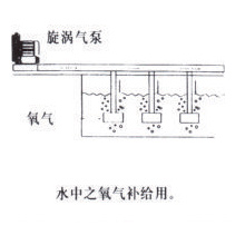 养殖池的氰气补给
